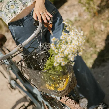 Hotel Le Bout Du Parc De 3*