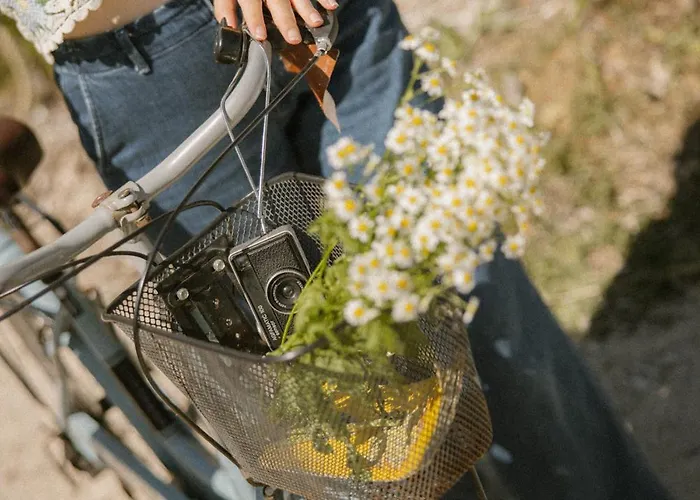 Hotel Le Bout Du Parc De 3*